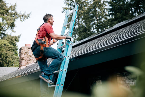 Best Roof Ventilation Installation  in Loma, CO