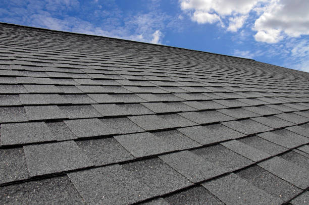 Best Roof Maintenance and Cleaning  in Loma, CO